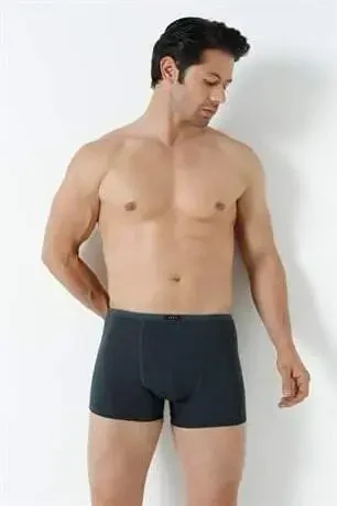 Erkek Bambu Boxer Füme İnce Bel Lastikli 5'li Paket - 11