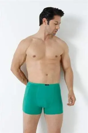 Erkek Bambu Boxer Yeşil İnce Bel Lastikli 5'li Paket - 14