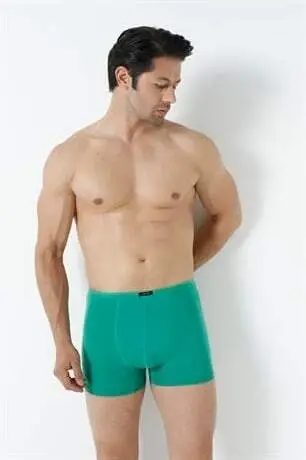 Erkek Bambu Boxer Yeşil İnce Bel Lastikli 5'li Paket - 13