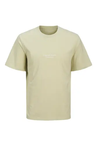 Erkek Basic Baskılı Düz Renk Rahat Kalıp Premium Günlük Tişört-Aqua Green - JACK & JONES (1)