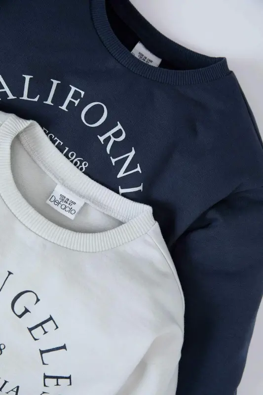 Erkek Bebek Bisiklet Yaka Baskılı İçi Yumuşak Tüylü 2li Sweatshirt D0709A524WN - 2