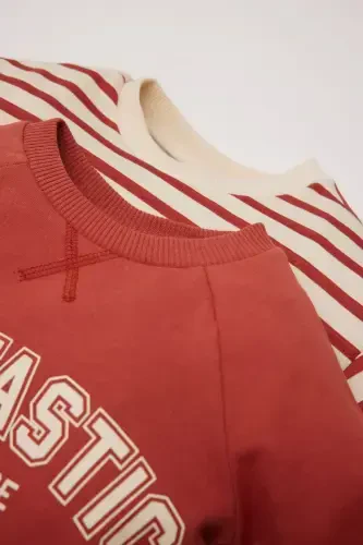 Erkek Bebek Bisiklet Yaka Baskılı İçi Yumuşak Tüylü 2'li Sweatshirt D5782A524WN - Defacto (1)
