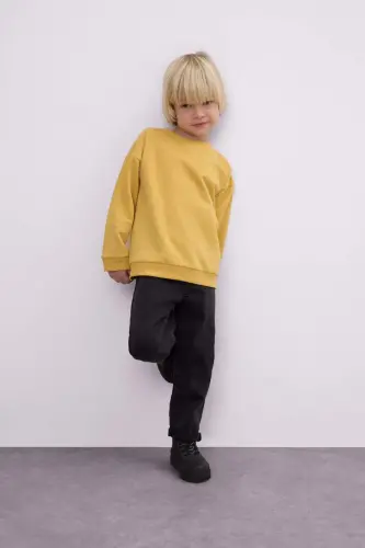 Bisiklet Yaka İçi Yumuşak Tüylü Basic Düz Sweatshirt Erkek Bebek A7433A524WN - Sarı-YL310 - DEFACTO (1)
