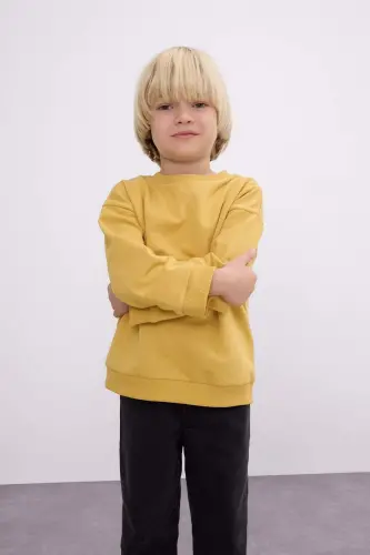 Bisiklet Yaka İçi Yumuşak Tüylü Basic Düz Sweatshirt Erkek Bebek A7433A524WN - Sarı-YL310 - 3