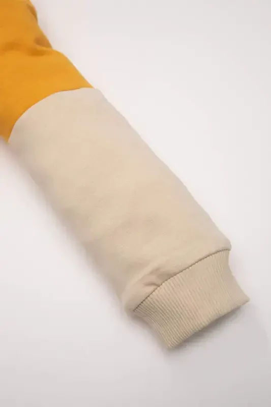 Erkek Bebek %100 Pamuk Bisiklet Yaka Renk Bloklu İçi Yumuşak Tüylü Sweatshirt A9753A524WN-Sarı - 4