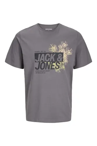 Erkek Bisiklet Yaka Logo Baskılı Tişört Gri - Gri-Crew - Jack & Jones (1)