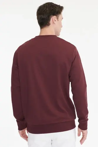Erkek Bordo Pamuklu Standart Fit Normal Kesim 2 İplik Bisiklet Yaka Sweatshirt - Bordo - 3