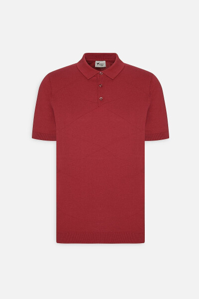Erkek Bordo Standart Fit Normal Kesim %100 Pamuk Kendinden Desenli Polo Yaka Triko Tişört - Bordo - 6