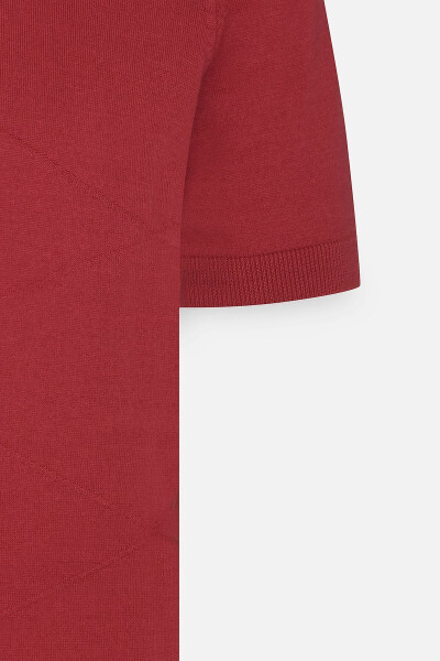 Erkek Bordo Standart Fit Normal Kesim %100 Pamuk Kendinden Desenli Polo Yaka Triko Tişört - Bordo - 8