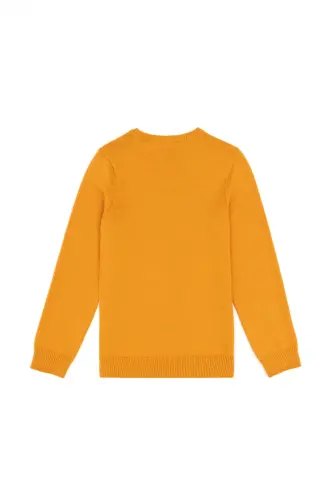 Erkek Çocuk Hardal Basic Bisiklet Yaka Kazak 50294188-VR072 - Hardal - 2