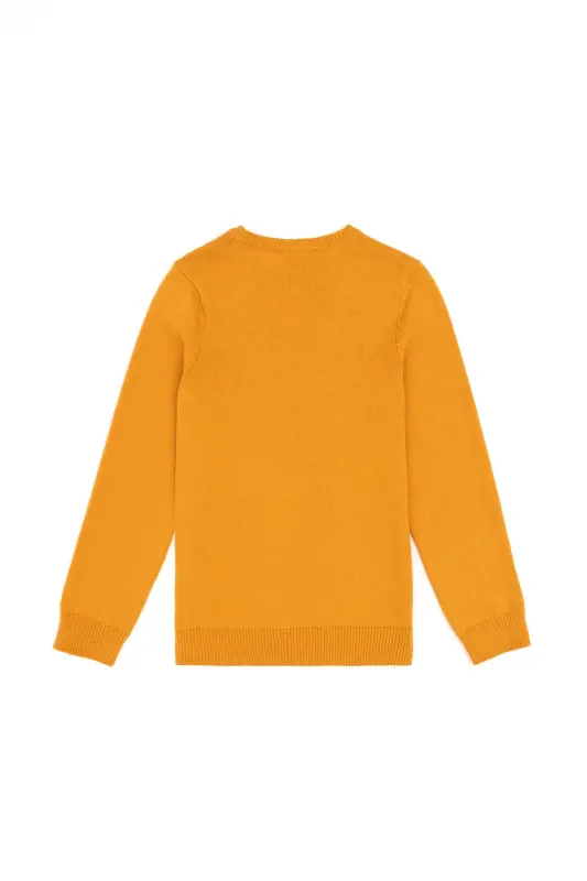 Erkek Çocuk Hardal Basic Bisiklet Yaka Kazak 50294188-VR072 - Hardal - 2