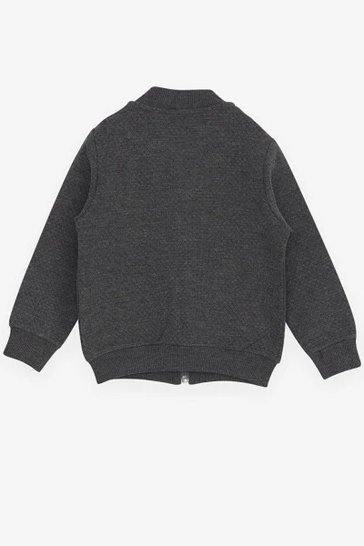 Gri Erkek Çocuk Hırka Basic Cepli Armalı Füme (2-3 Yaş)-Gri - 23