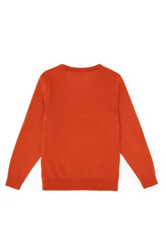 Erkek Çocuk Kiremit Basic V Yaka Kazak 50294200-VR031 - Kiremit - U.S. POLO ASSN. (1)