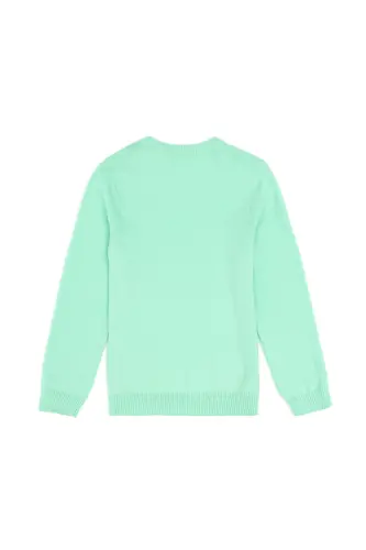 Erkek Çocuk Mint Basic V Yaka Kazak 50294200-VR090 - Mint - U.S. POLO ASSN. (1)