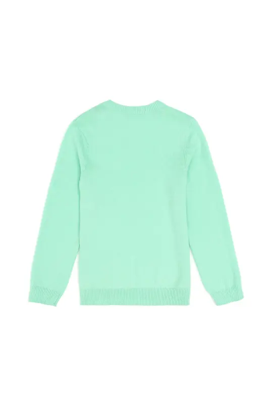 Erkek Çocuk Mint Basic V Yaka Kazak 50294200-VR090 - Mint - 2
