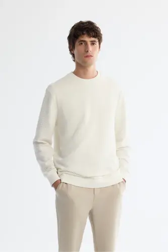 Erkek Ekru Bisiklet Yaka Baskılı İnterlok Regular Fit Sweatshirt A42Y1296 - Ekru - 1