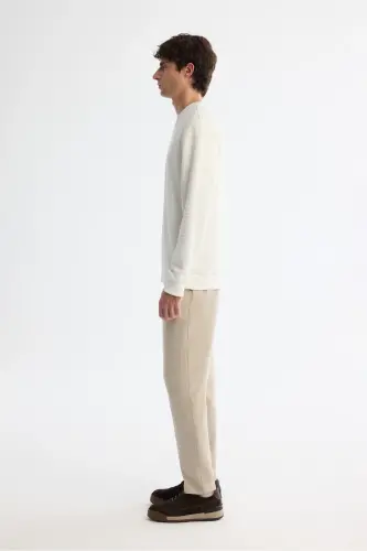 Erkek Ekru Bisiklet Yaka Baskılı İnterlok Regular Fit Sweatshirt A42Y1296 - Ekru - 3