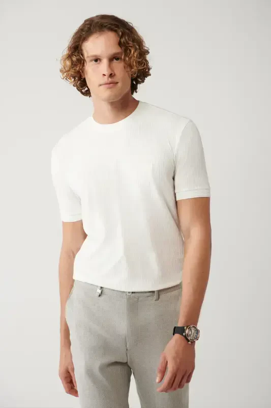 Erkek Ekru Bisiklet Yaka Jakarlı Regular Fit T-Shirt A41Y1053 - 1