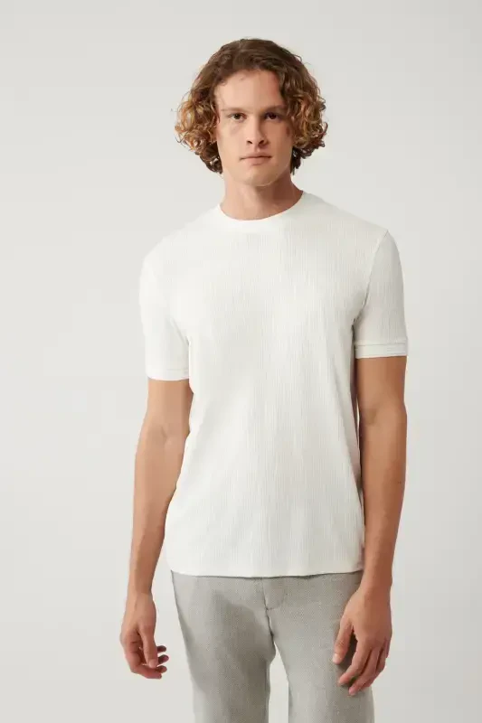 Erkek Ekru Bisiklet Yaka Jakarlı Regular Fit T-Shirt A41Y1053 - 3