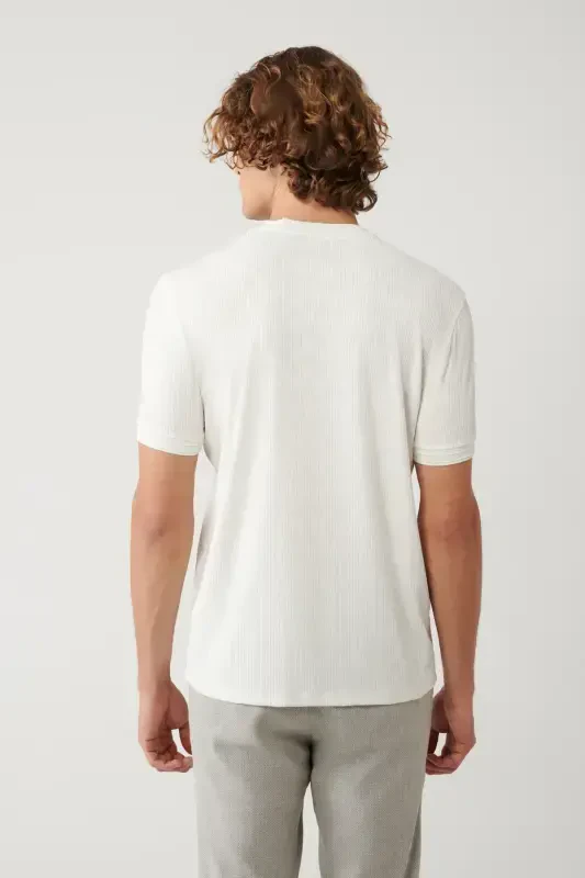 Erkek Ekru Bisiklet Yaka Jakarlı Regular Fit T-Shirt A41Y1053 - 4