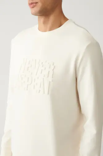 Erkek Ekru Bisiklet Yaka Soft Touch Gofreli Regular Fit Sweatshirt A41Y1235 - Ekru - AVVA (1)