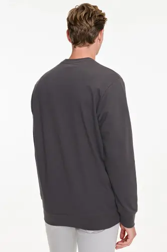 Erkek Füme Pamuklu Standart Fit Normal Kesim 2 İplik Bisiklet Yaka Sweatshirt - Füme - 5