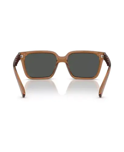 Men's Sunglasses AX4147S - Shiny Transparent Brown - 6