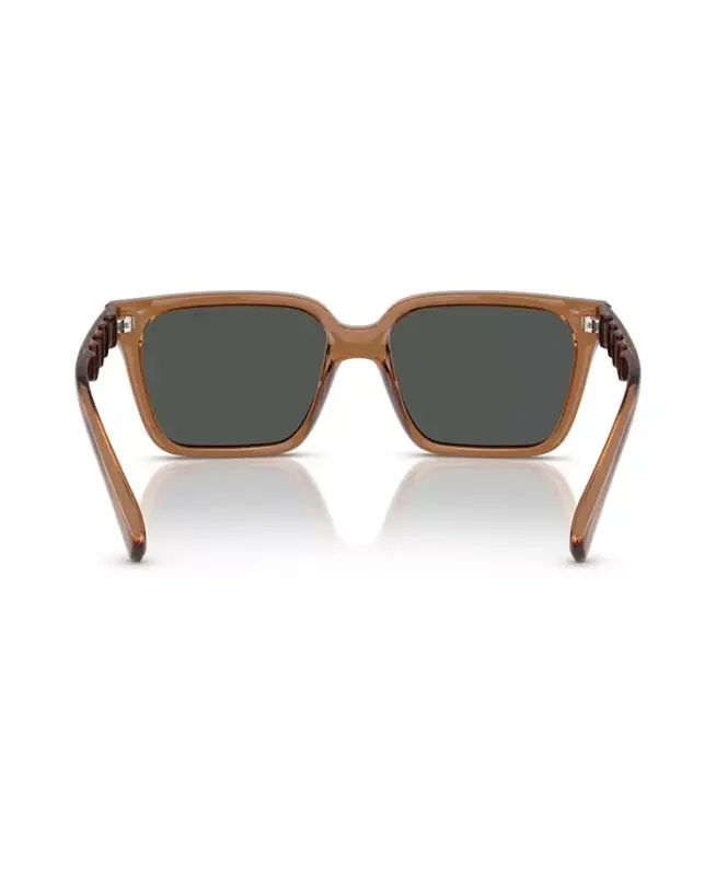 Men's Sunglasses AX4147S - Shiny Transparent Brown - 6
