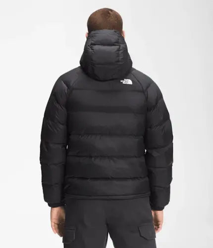 Erkek Hydrenalite™ Kaz Tüylü Kapşonlu Mont - NORTHFACEUS (1)