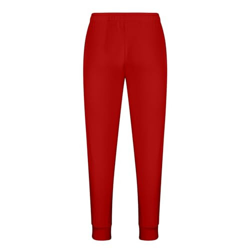 Erkek Jogger Koşu Antrenman Pantolonu Casual Slim Fit Dar Paça Şık Parlak Renk Elastik Bel Bağcıklı Cepli - 4