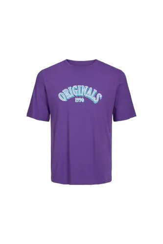 Jack&Jones Erkek T-Shirt 12232256 - 4