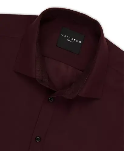 Men's Regular Fit Solid Wrinkle Free Performance Dress Shirt - Burgundy 