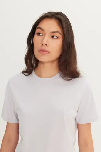 Erkek Lila Slim Fit Dar Kesim %100 Pamuk Bisiklet Yaka Basic Tişört-Lila - 8