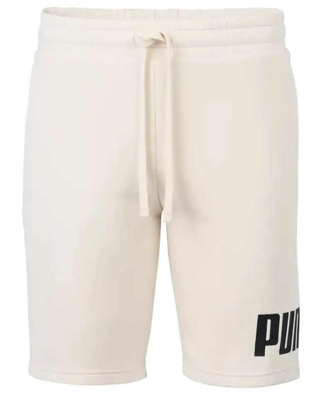 Men's Logo Drawstring Shorts-Alpine Snow - PUMA