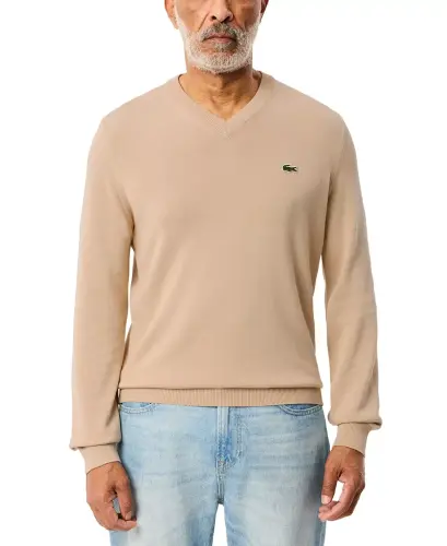 Men's Regular-Fit Solid V-Neck Sweater - 02S - Vienne 