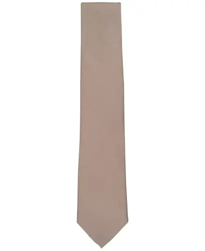Men's Sapphire Solid Tie - Taupe - 2