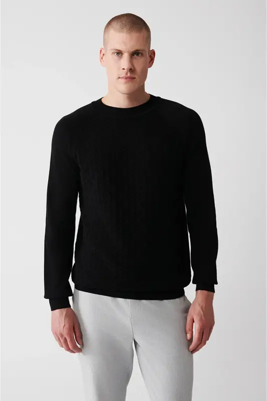 Erkek Siyah Bisiklet Yaka Reglan Kol Triko Regular Fit Kazak A32Y5155 - Siyah - 3