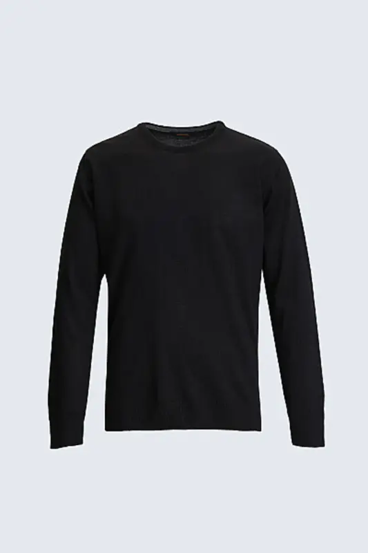 Erkek Siyah Regular Fit Düz Bisiklet Yaka Triko Kazak - Siyah - 2
