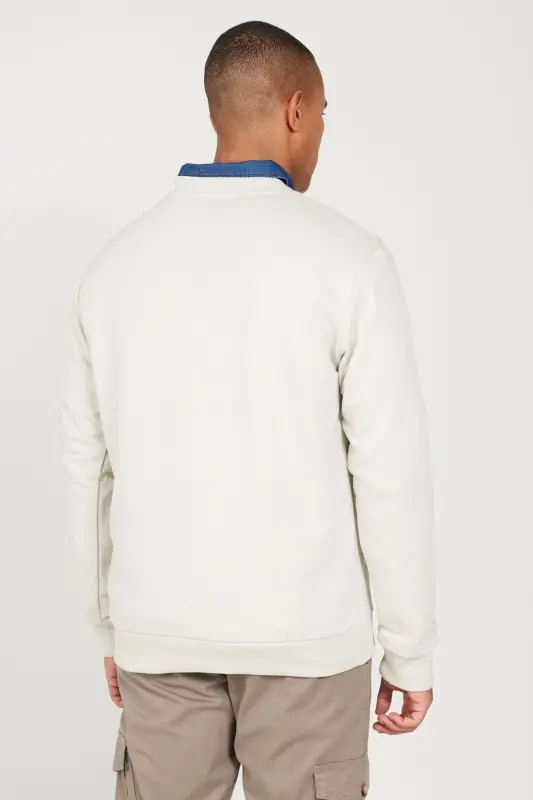Erkek Su Yeşili Standart Fit Normal Kesim Bisiklet Yaka 3 Iplik Pamuklu Sweatshirt - Bej - 6