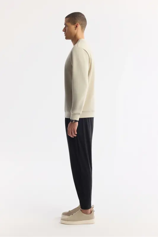 Erkek Taş Bisiklet Yaka Baskılı Bi-Stretch İnterlok Regular Fit Sweatshirt A51Y1235 - Taş - 3