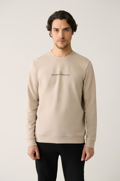 Erkek Taş Bisiklet Yaka Sweatshirt - 8