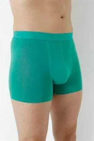 Erkek Yeşil Bambu Boxer 3'lü Paket - 7