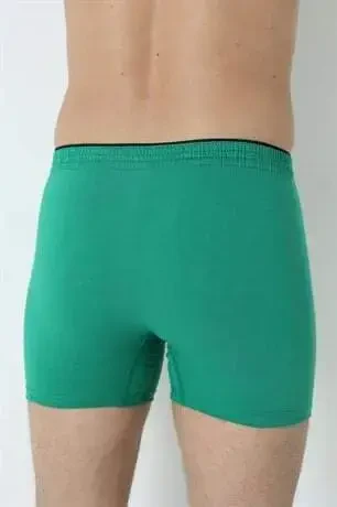 Erkek Yeşil Düğmeli Boxer 3'lü Paket %100 Pamuklu Penye - 8