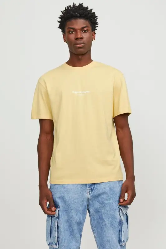 Eşofman Gedruckt Rundhalsausschnitt Eşofman-Italian Straw - JACK & JONES