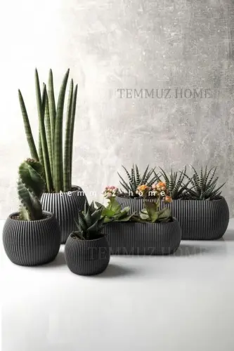 Ev Dekorasyonu Karasu Dekoratif Ve Modern Mercan Saksı Seti 5 Parça-ANTRASİT - 5