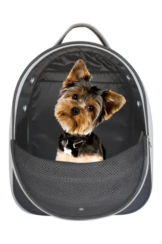 Evcil Hayvan Fileli Sırt Taşıma Çantası Paris Siyah-Siyah - 3