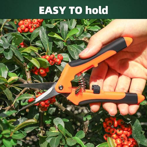 EWPJDK 3 Pack Garden Pruning Shears, Stainless Steel Garden Shears, Gardening Shears, Gardening Scissors, Garden Scissors, Garden Clippers, Pruning Snips, Pruning Shears for Gardening Garden Tools - 6