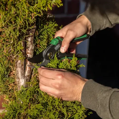 Expert Gardener 1 dyuymli kesuvchi aylanma budama qaychigʻi - 7