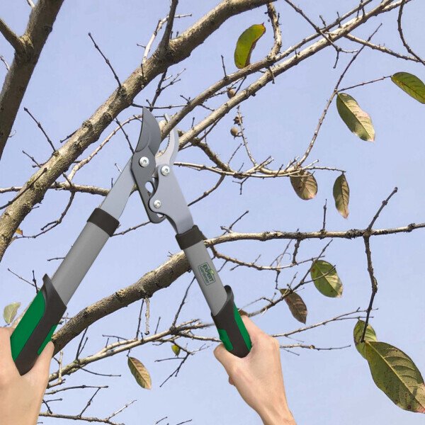 Expert Gardener 15 inches Lopper, 15 inches Assembled Length, 1 lb Assembled Weight - EXPERT GARDENER (1)