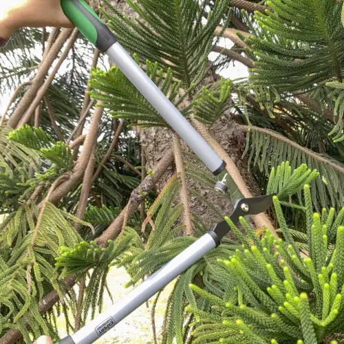 Expert Gardener 24 dyuymli po'lat Bypass Lopper, yashil va qora rangda 1 dyuymli kesish qobiliyati. - 4